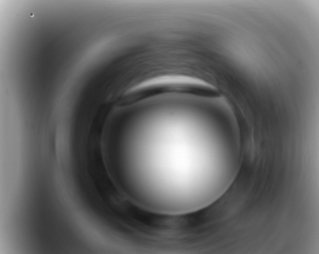 X0000088660383200706011244