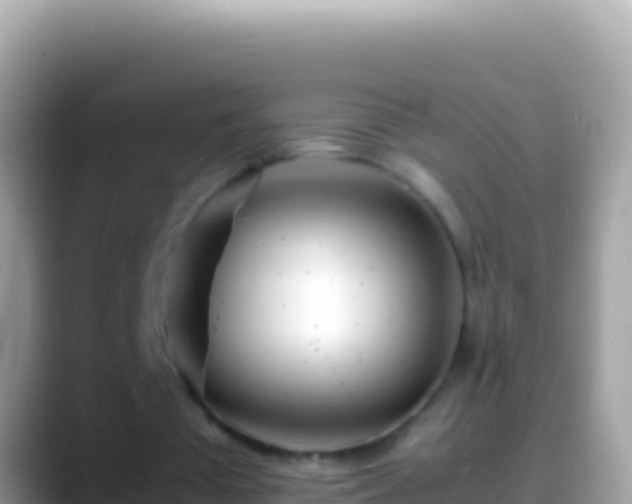 X0000088660385200706011243