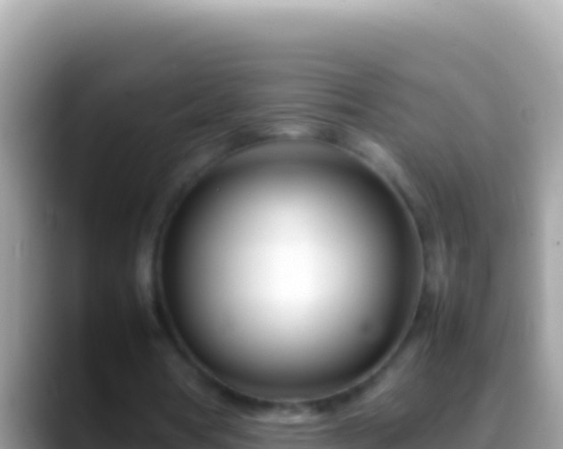 X0000088660386200706011243