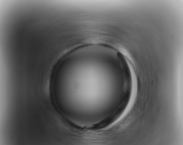 X0000088660387200706011243