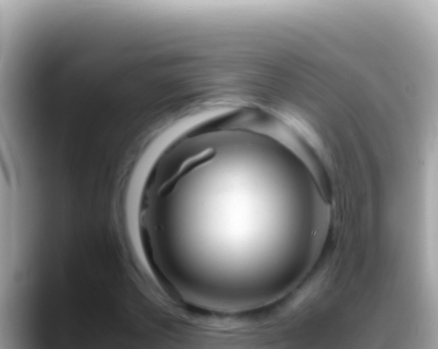 X0000088660389200706011243