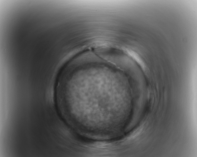 X0000088660391200706011243