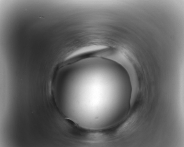 X0000088660397200706011243