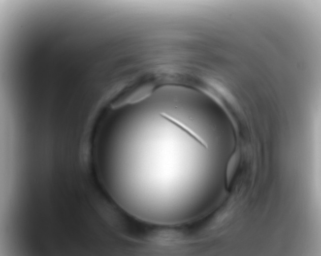 X0000088660399200706011243