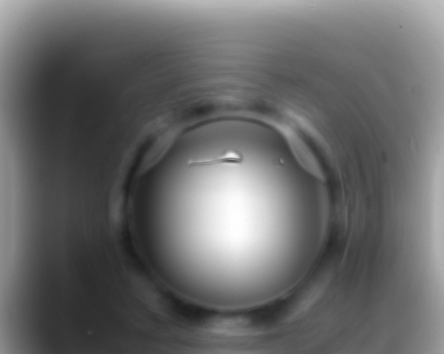 X0000088660403200706011243