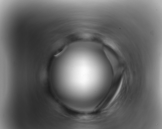 X0000088660407200706011243