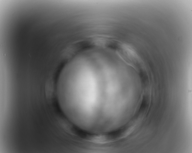 X0000088660411200706011243