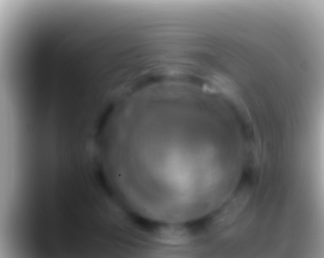 X0000088660415200706011243