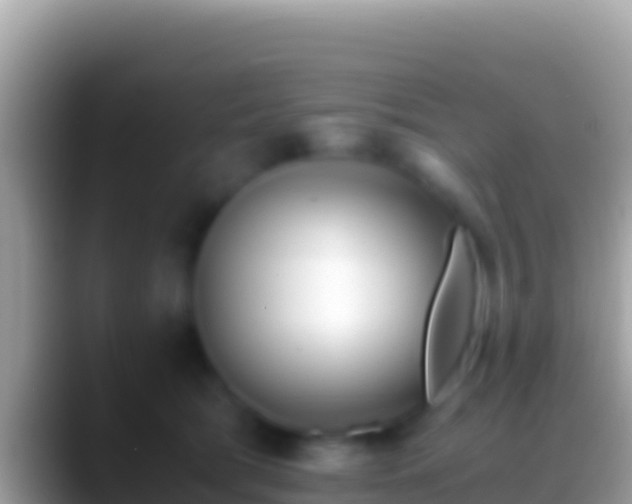 X0000088660417200706011243