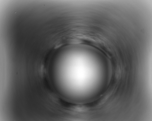 X0000088660420200706011243