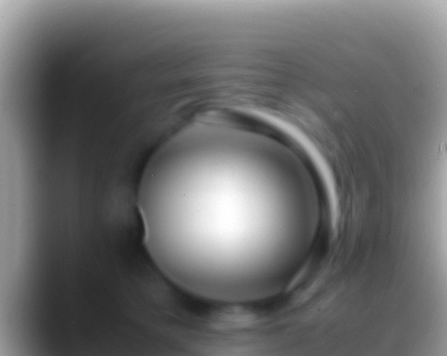 X0000088660421200706011243