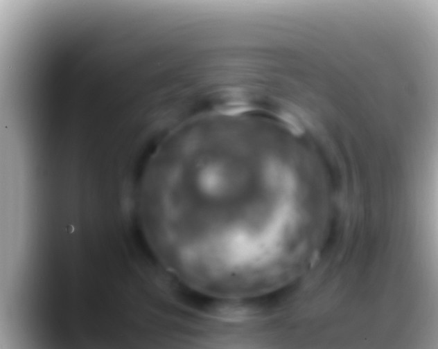 X0000088660423200706011243