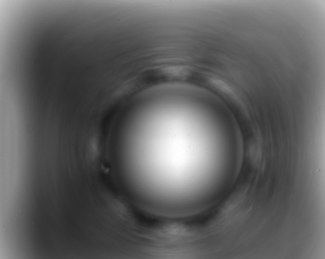 X0000088660424200706011243