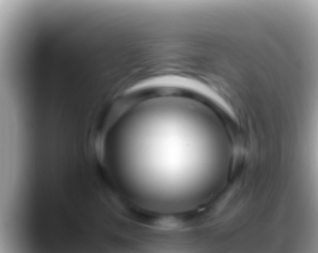 X0000088660425200706011243