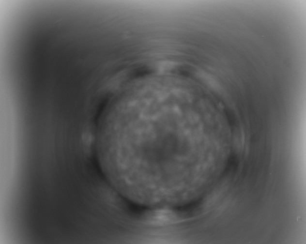 X0000088660427200706011243