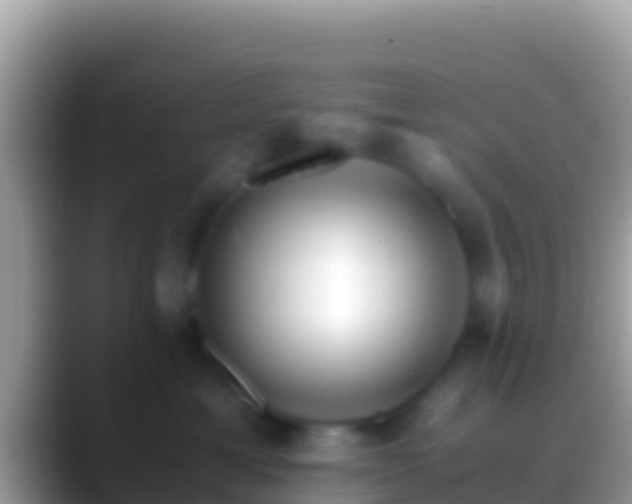 X0000088660429200706011243