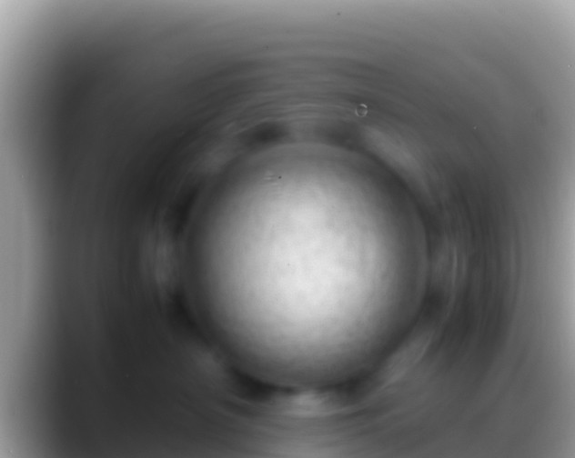 X0000088660430200706011243