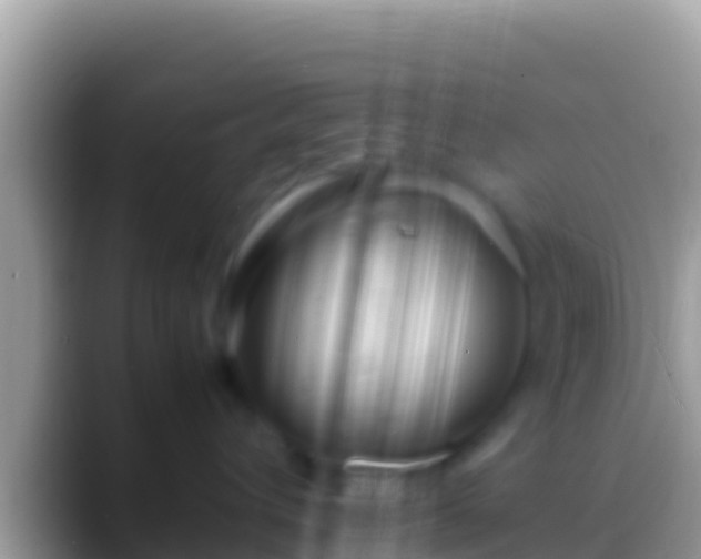 X0000088660432200706011243