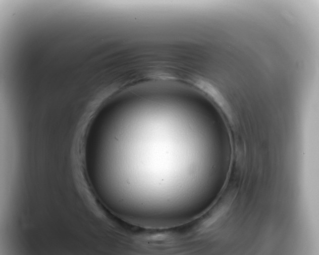 X0000088660433200706011242