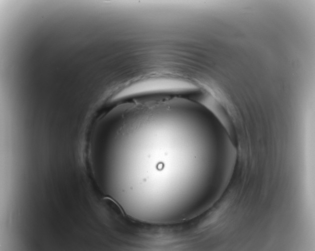 X0000088660434200706011242