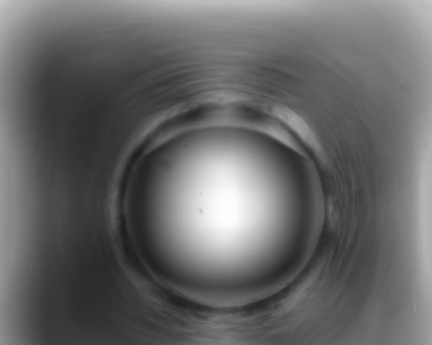 X0000088660436200706011242