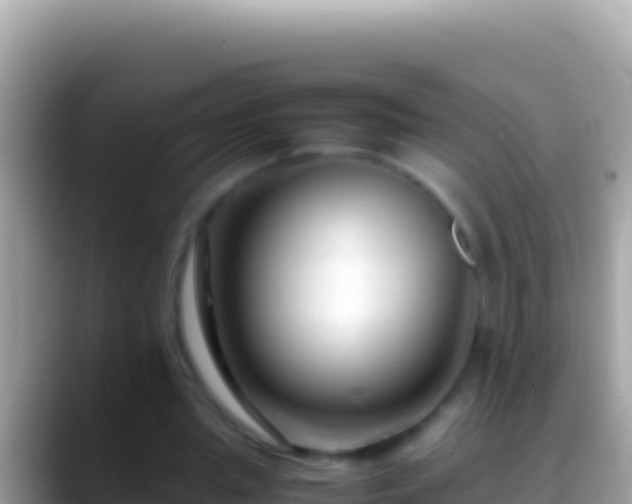 X0000088660437200706011242