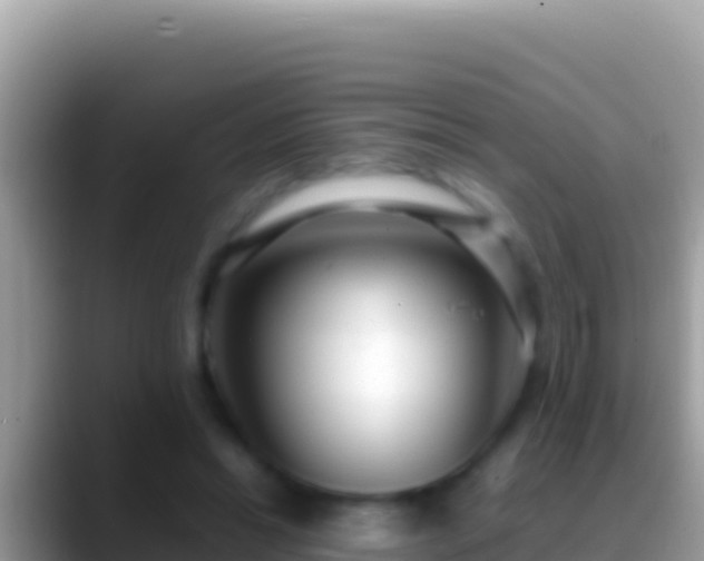 X0000088660446200706011243