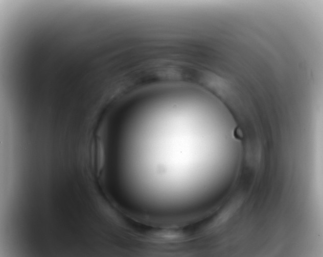 X0000088660449200706011243