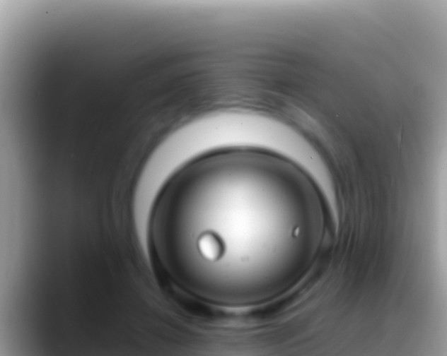 X0000088660452200706011243