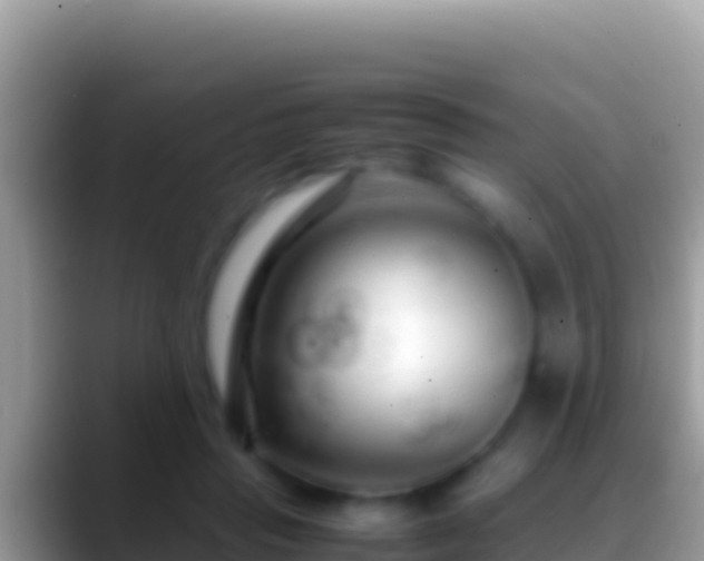 X0000088660453200706011243