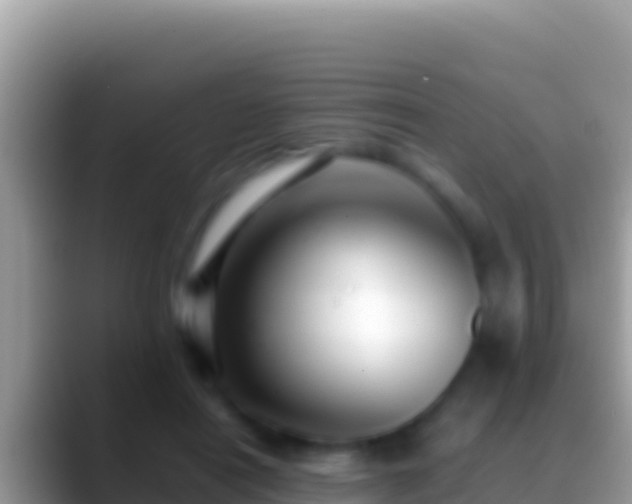 X0000088660454200706011243