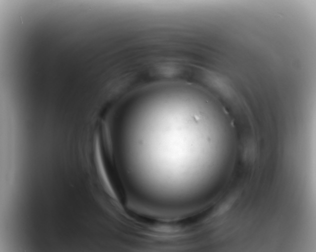 X0000088660455200706011243