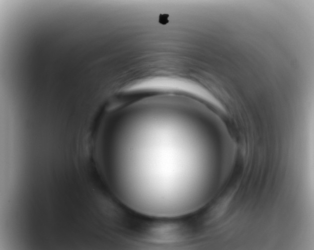 X0000088660458200706011243