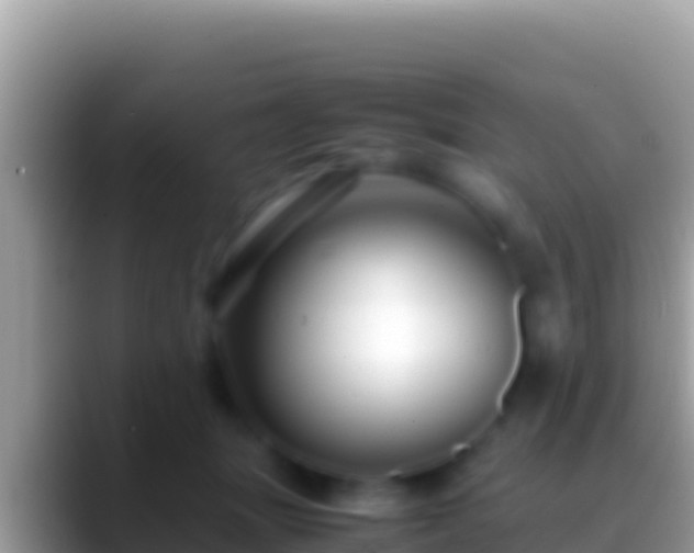 X0000088660463200706011243