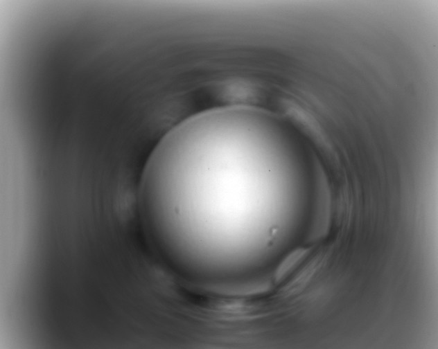 X0000088660473200706011243