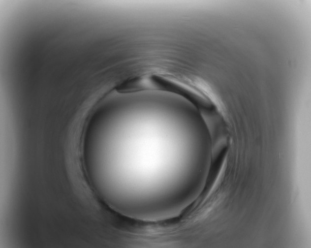 X0000088660481200706011242