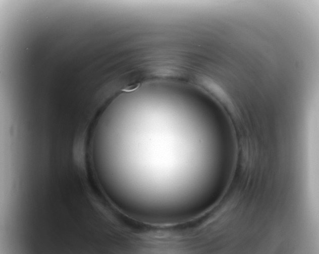 X0000088660482200706011242