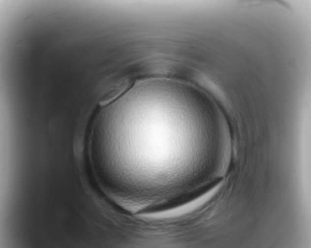 X0000088660483200706011242