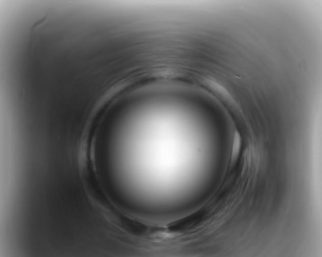 X0000088660484200706011242