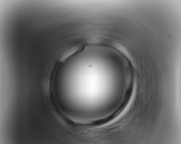 X0000088660485200706011242