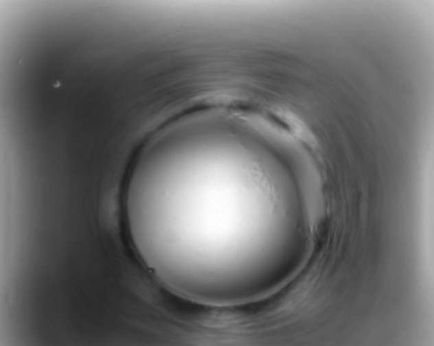 X0000088660487200706011242