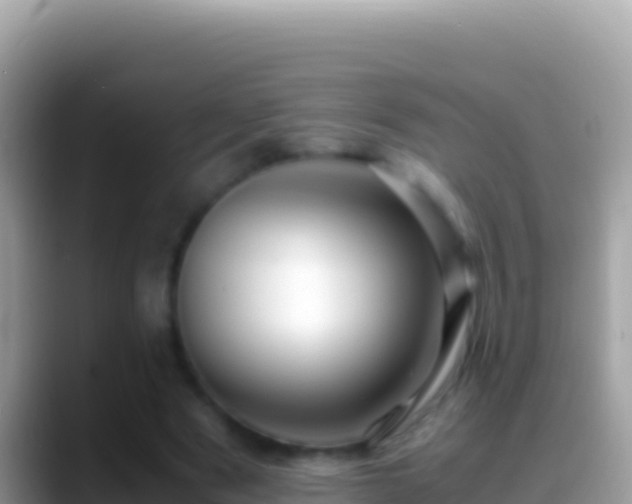 X0000088660489200706011242