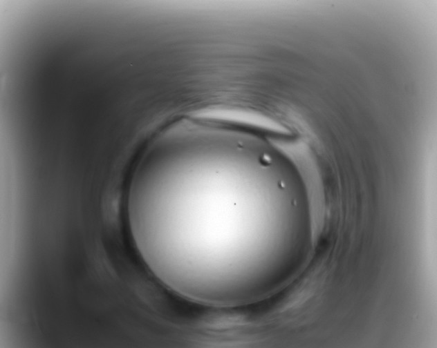 X0000088660491200706011242