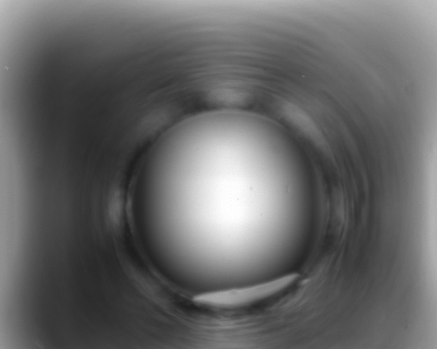 X0000088660494200706011242