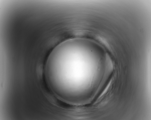 X0000088660495200706011242