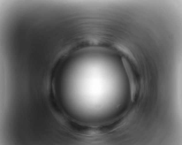 X0000088660496200706011242