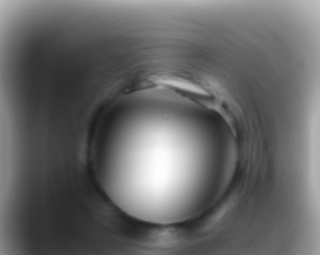 X0000088660497200706011242