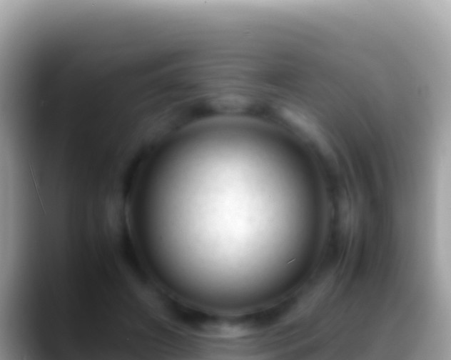 X0000088660498200706011242