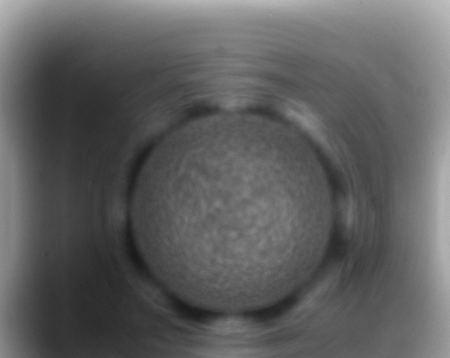 X0000088660499200706011242