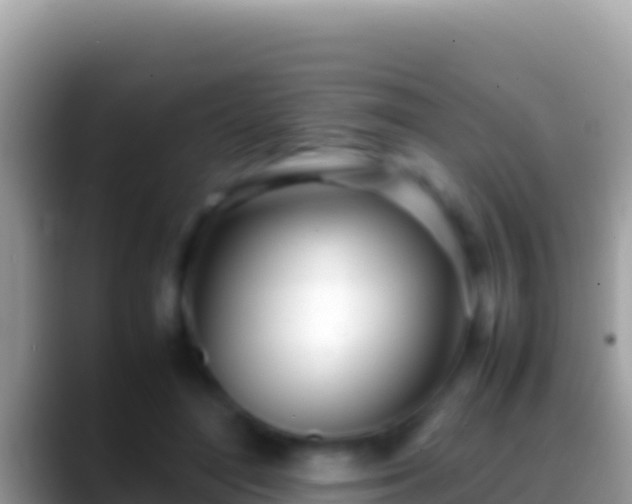 X0000088660500200706011242